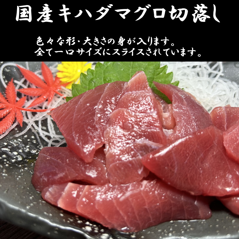 送料無料）国産マグロ切落し（上） 100ｇ×50パックセット キハダマグロ