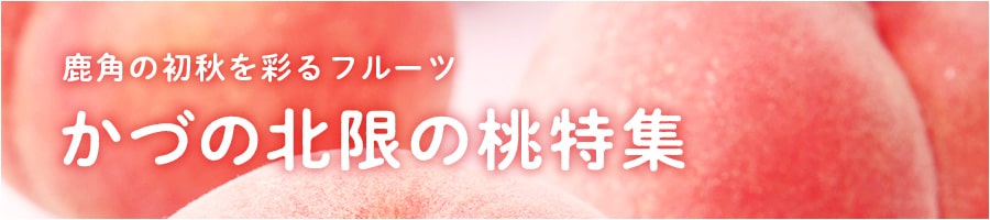 恋する鹿角WEB STORE - Yahoo!ショッピング