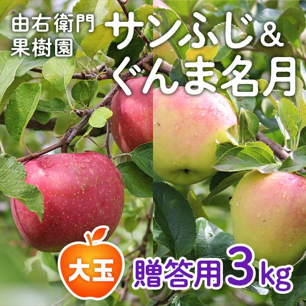 りんご サンふじ&ぐんま名月 詰合せ 3kg（7〜9玉入り）贈答用 大玉【由