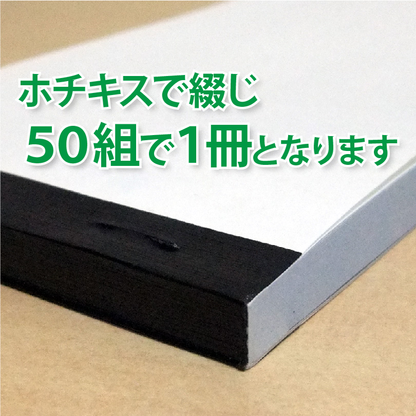 領収証 名入れ印刷（新仕様）134×82mm 2枚複写×50組×20冊 カラーデザインで作成 標準配送料込みの画像