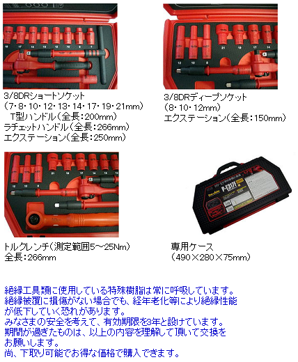 Pro-Auto プロオート 絶縁工具セット 17ピース (トルクレンチ付き) P