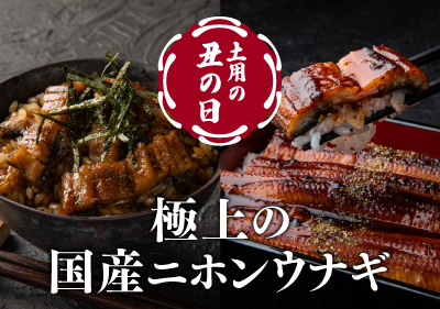 三澤商店 極上国産うなぎ味わいセット