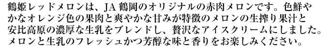 山形アイスクリームセット