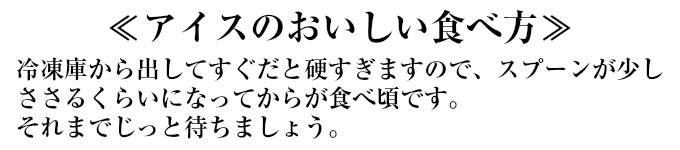 山形アイスクリームセット
