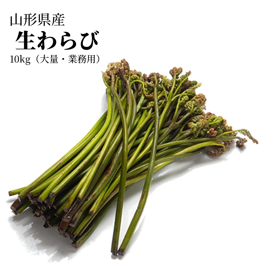 ＼春限定予約／ 天然 生わらび 1kg 5kg 10kg 山形県産 送料無料 採れたて 産地直送 国産 山菜 おひたし 煮物 春の味覚 家庭料理向け 5月上旬以降発送予定【B28】の画像