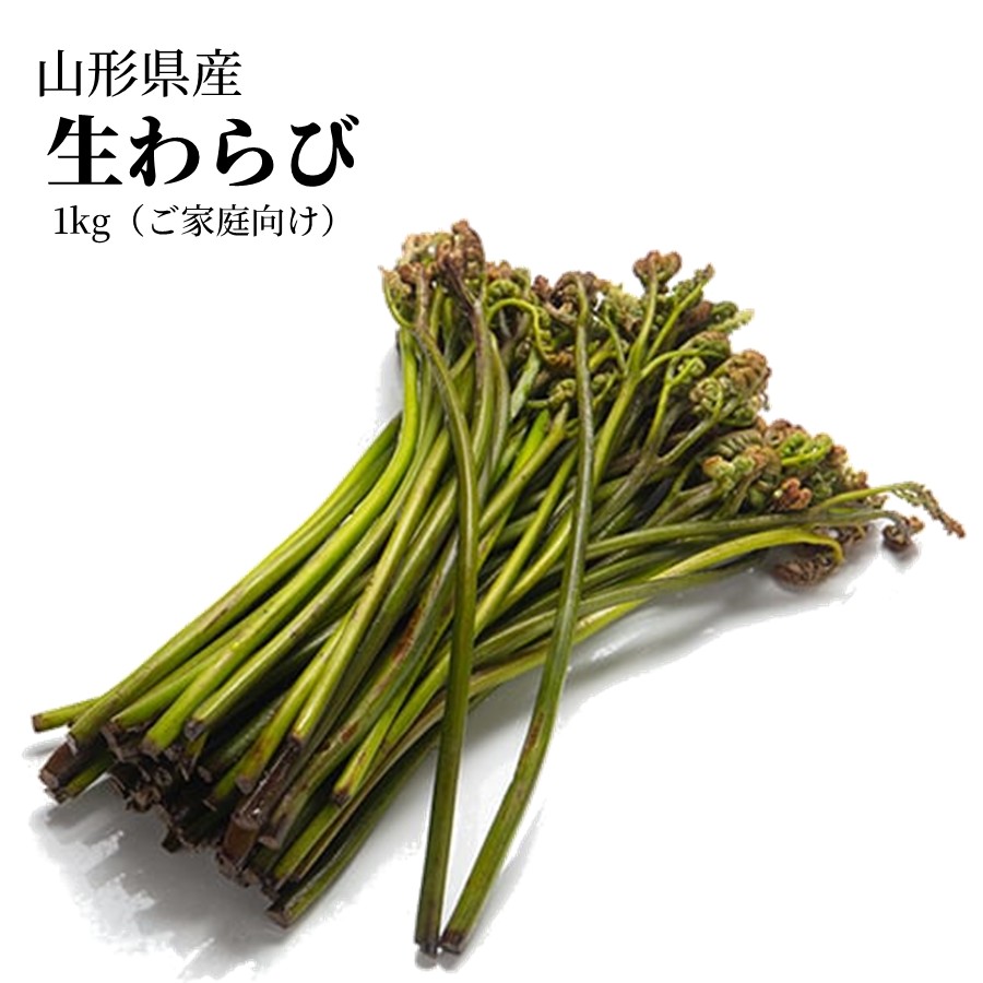 ＼春限定予約／ 天然 生わらび 1kg 5kg 10kg 山形県産 送料無料 採れたて 産地直送 国産 山菜 おひたし 煮物 春の味覚 家庭料理向け 5月上旬以降発送予定【B28】の画像
