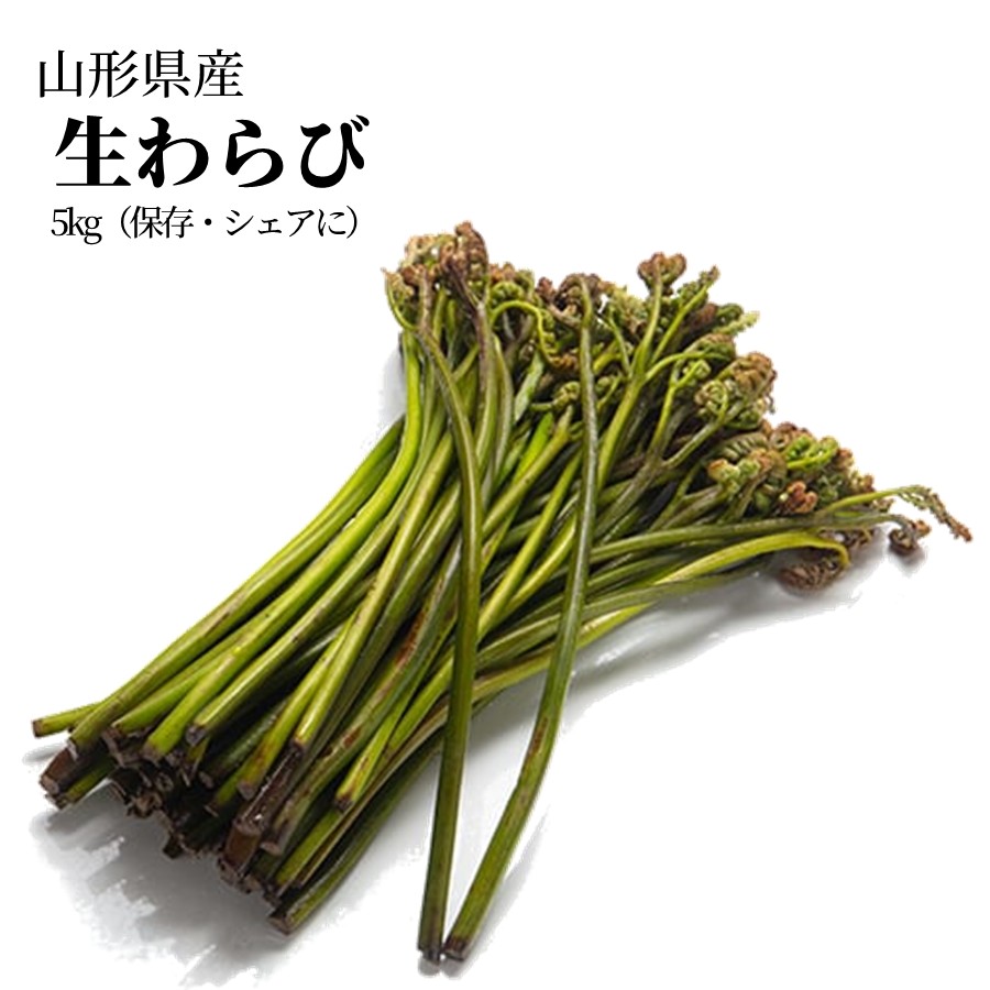 ＼春限定予約／ 天然 生わらび 1kg 5kg 10kg 山形県産 送料無料 採れたて 産地直送 国産 山菜 おひたし 煮物 春の味覚 家庭料理向け 5月上旬以降発送予定【B28】の画像