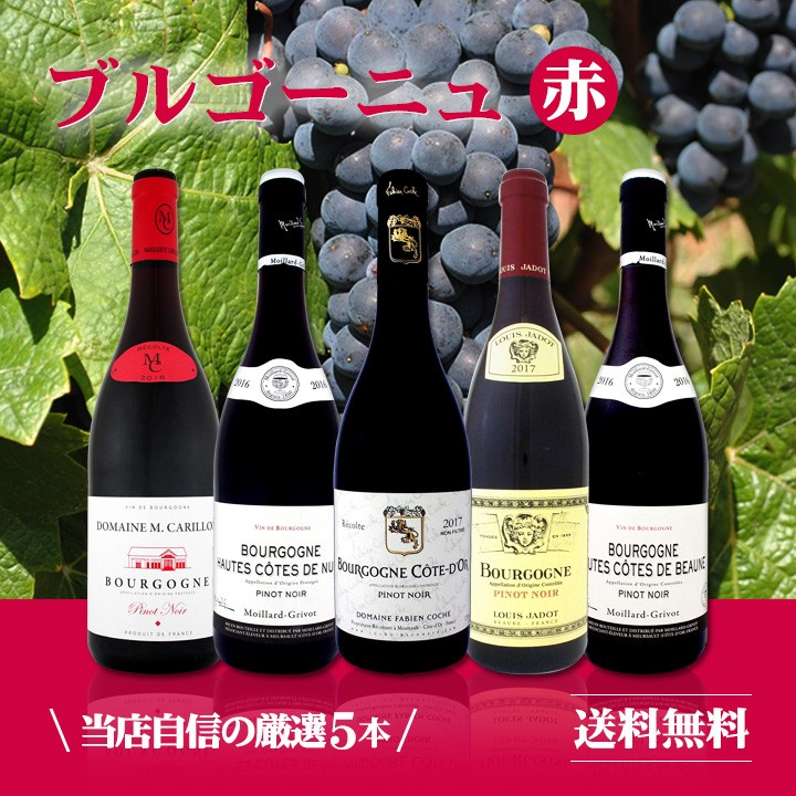 厳選ブルゴーニュ赤ワイン5本セット wine set bourgogne : 京橋ワイン