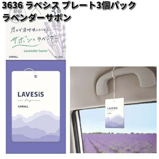 HARUKADO 3636 ラベシス プレート 3個パック ラベンダーサボン