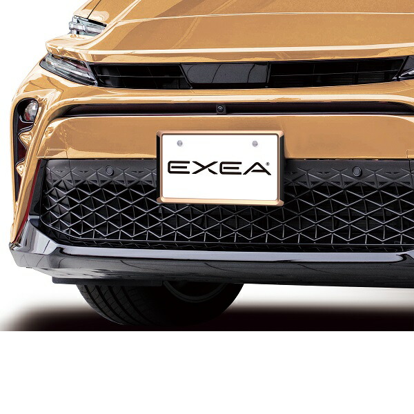 星光産業 EX-221 アクセントフレームセット CP お取り寄せ商品 普通車