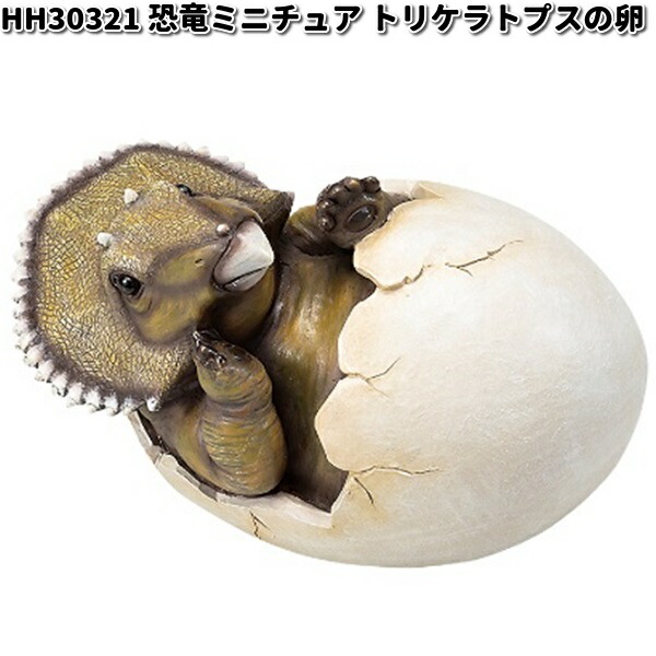 【トリケラトプス】CACUTUS GREEN血統、直子株② 子株から2年🌿 犀高の株です🦏︎💕︎ #アガベトリケラトプス
