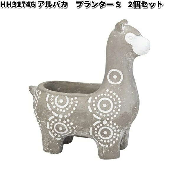 【専用】アルパカプランツ様　2株 HH31746 アルパカ プランター S 2個セット 穴無 オーナメント