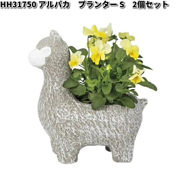 HH31746 アルパカ プランター S 2個セット 穴無 オーナメント