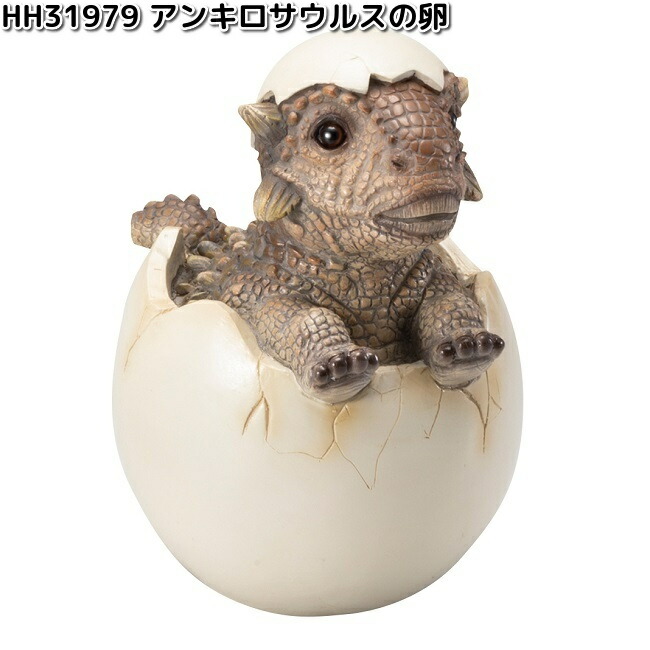 erizo　1月31日購入 hh31979-1.jpg
