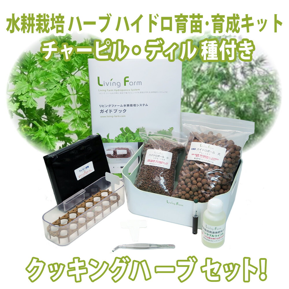 lfs095-3-kabe.jpg