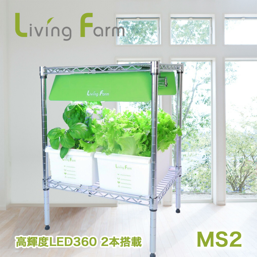 LF-MSL2 水耕栽培キット リビングファーム LFMSL2 メーカー直送 代引き