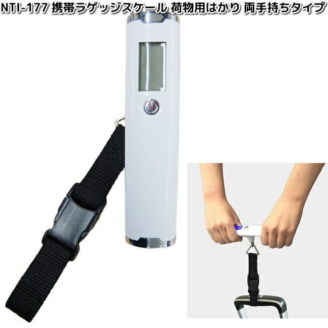 シマノ（SHIMANO） 朱紋峰 本式 17尺 /ほんしき へら竿 : つり具の銭屋