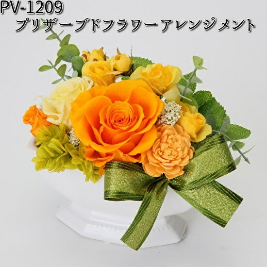 PV-1209 プリザーブドフラワーアレンジメント フローレックス PV1209
