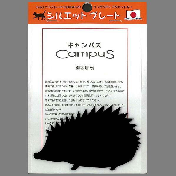 はりねずみ アフリカハリネズミ属 | 動物図鑑 | ZFC.jp