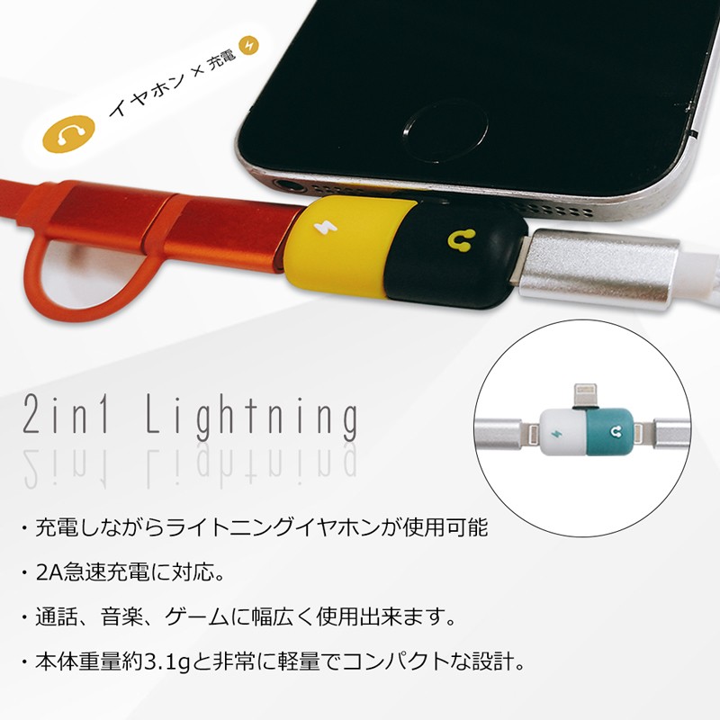 2in1 ライトニング 変換アダプタ iPhone イヤホン iPad 充電 通話 同時