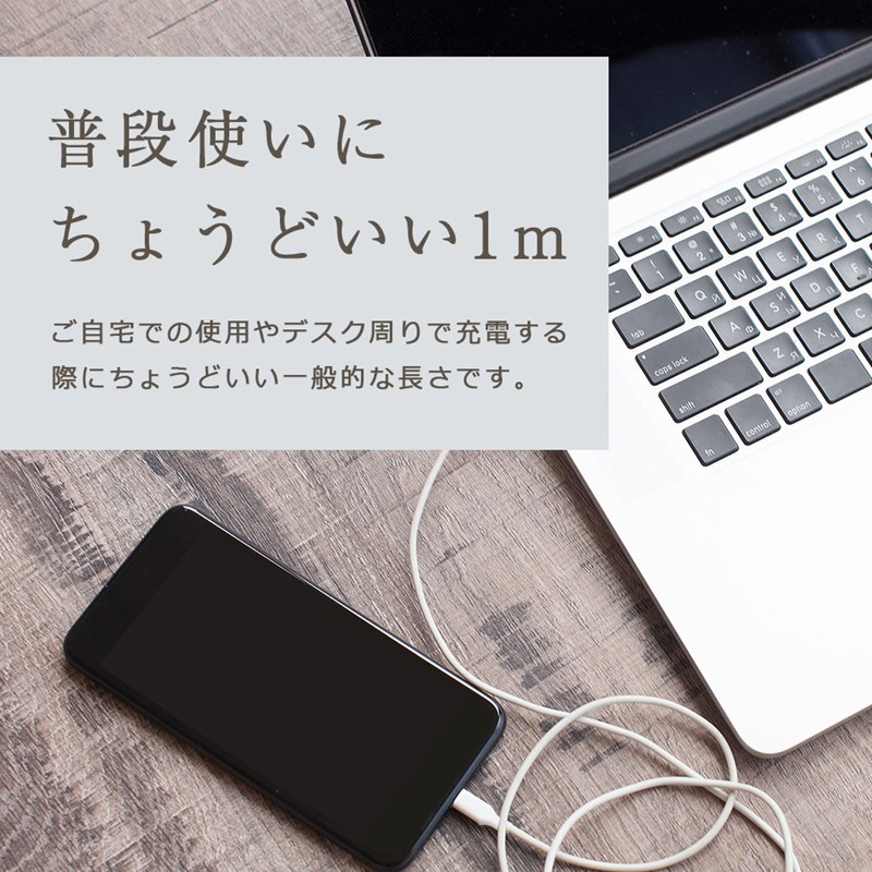 ライトニングケーブル iPhone 充電ケーブル Lightning ライトニング