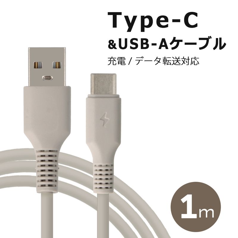 ブランドサイト通販 iPad本体 充電器・ケーブル付属（シルバー