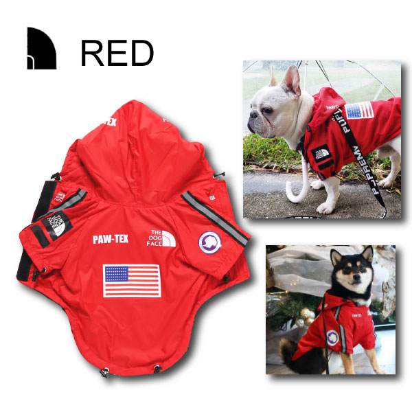 CALIFORNIAロゴ入り犬用アウター 7988058_1.jpg