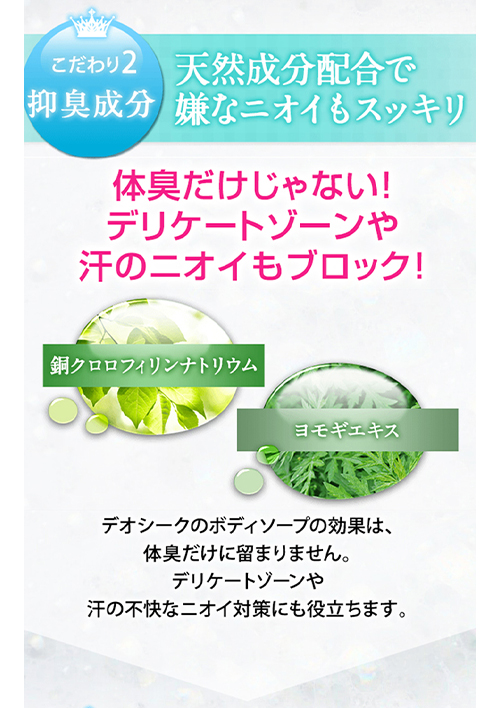 SALE 5/29 18:00まで】デオシーク ボディソープ 300ml 送料無料 ワキガ SALE 5/29 18:00まで】デオシーク ボディソープ 300ml 送料無料 ワキガ