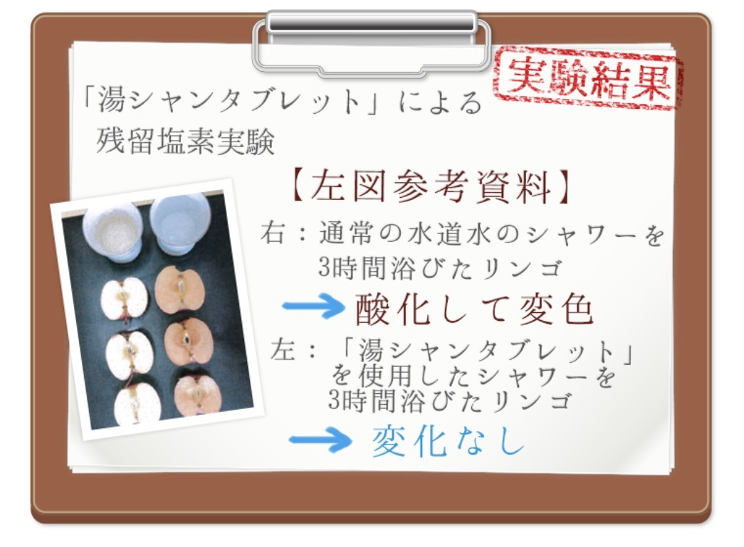 湯シャンタブレット シャワーヘッド+タブレット10錠入り ノー