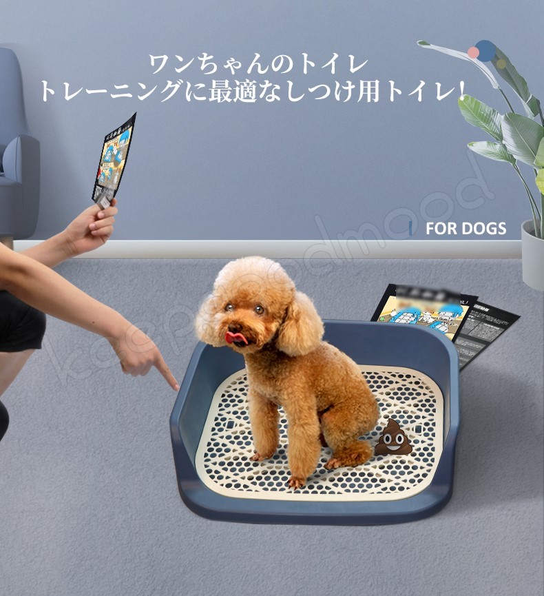 市場 取寄品 ジョイペット ペット用品 犬用品 猫 ザ 犬 ちゃんとしつけ剤 200mL しつけ ネコ