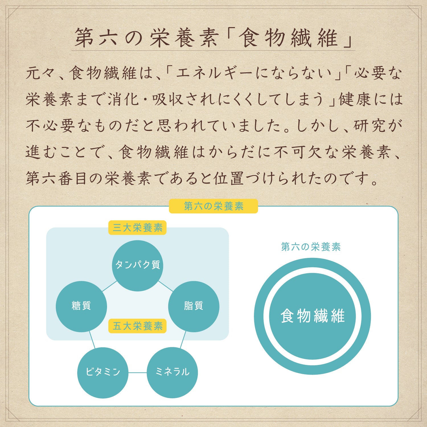 第六の栄養素「食物繊維」