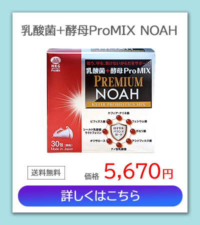 乳酸菌 サプリ 乳酸菌+酵母 ProMIX PREMIUM NOAH 30包入 ケフラン ナリネ菌 ガセリ菌 サプリメント ビフィズス菌 健康食品  食物繊維