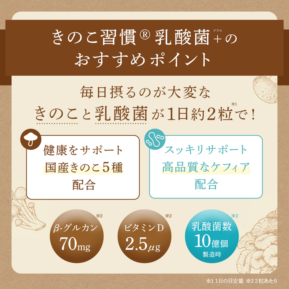 おすすめポイント