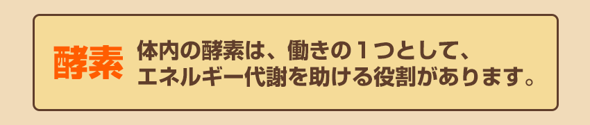 酵素とは