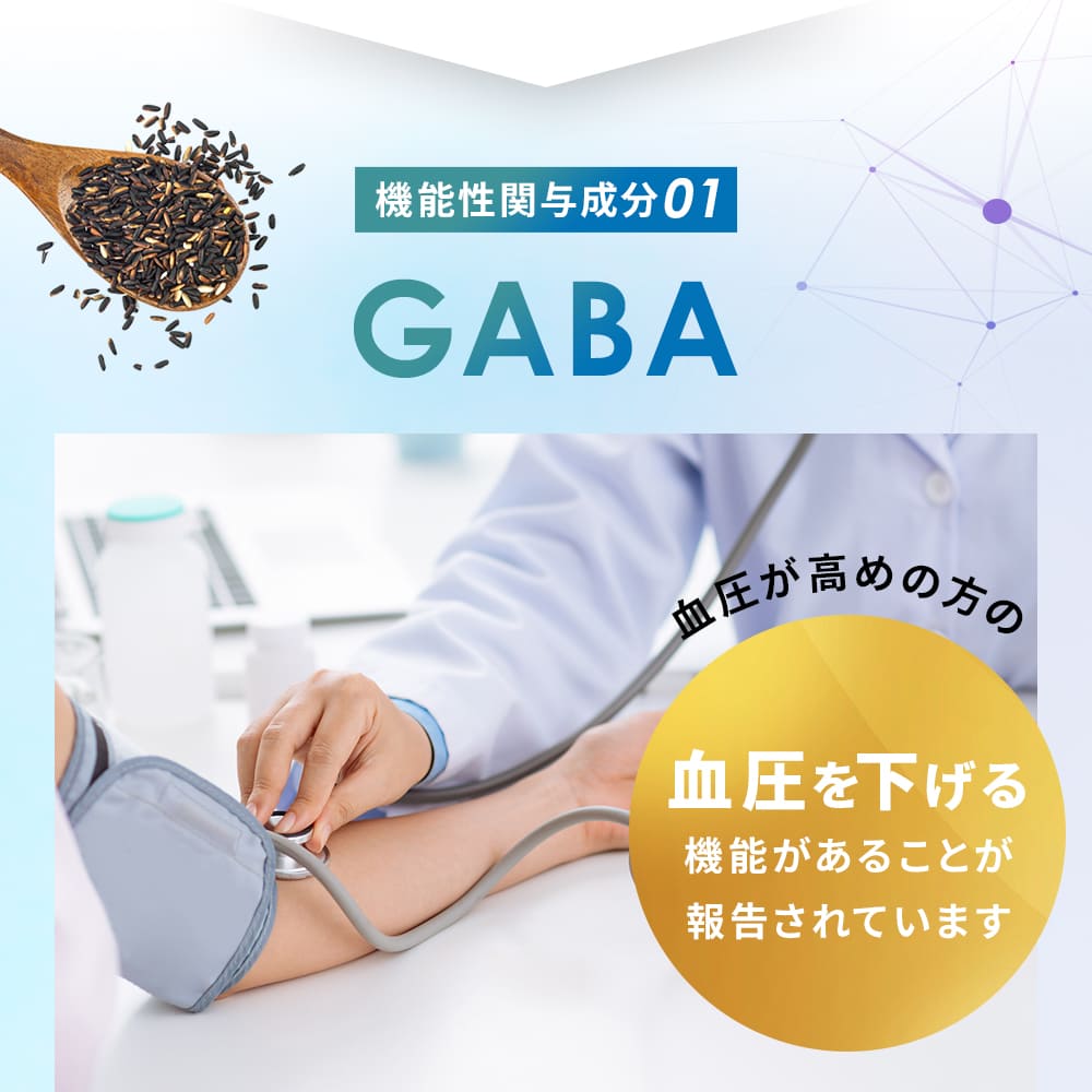 機能性関与成分01GABA