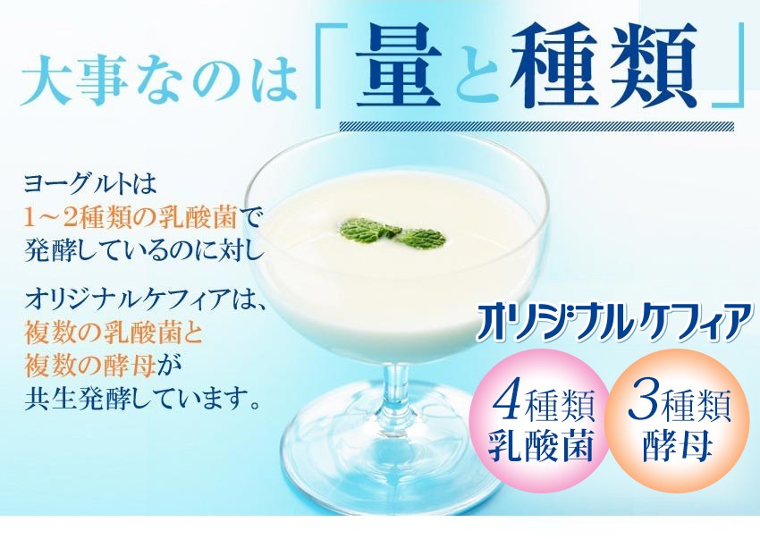 オリジナルケフィアは乳酸菌と酵母の量と種類がすごい