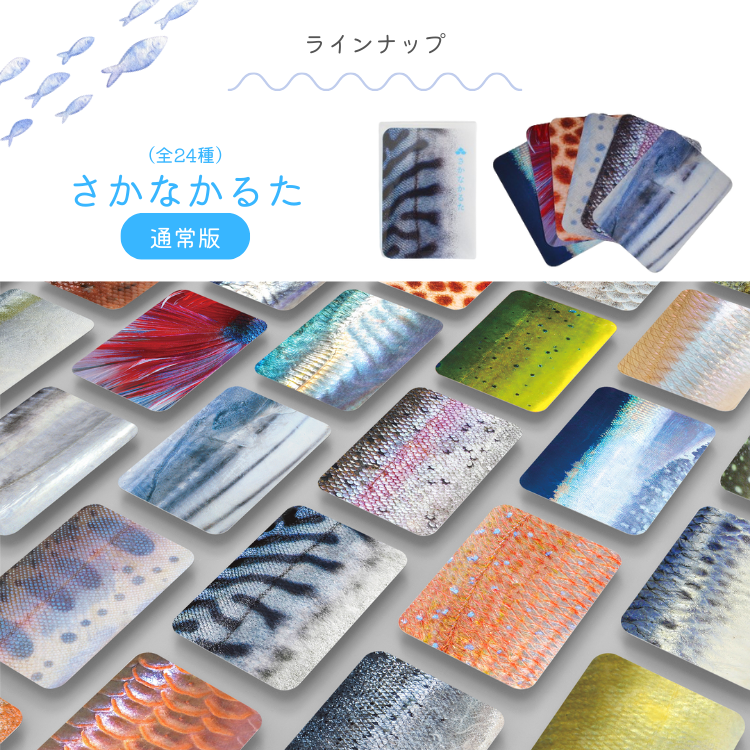 さかなかるた フルセット 通常盤 淡水魚版 伝説の魚版 海の釣魚版