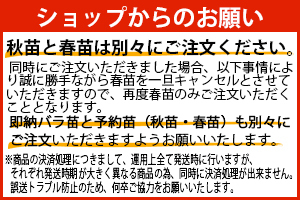 予約苗についてのお願い