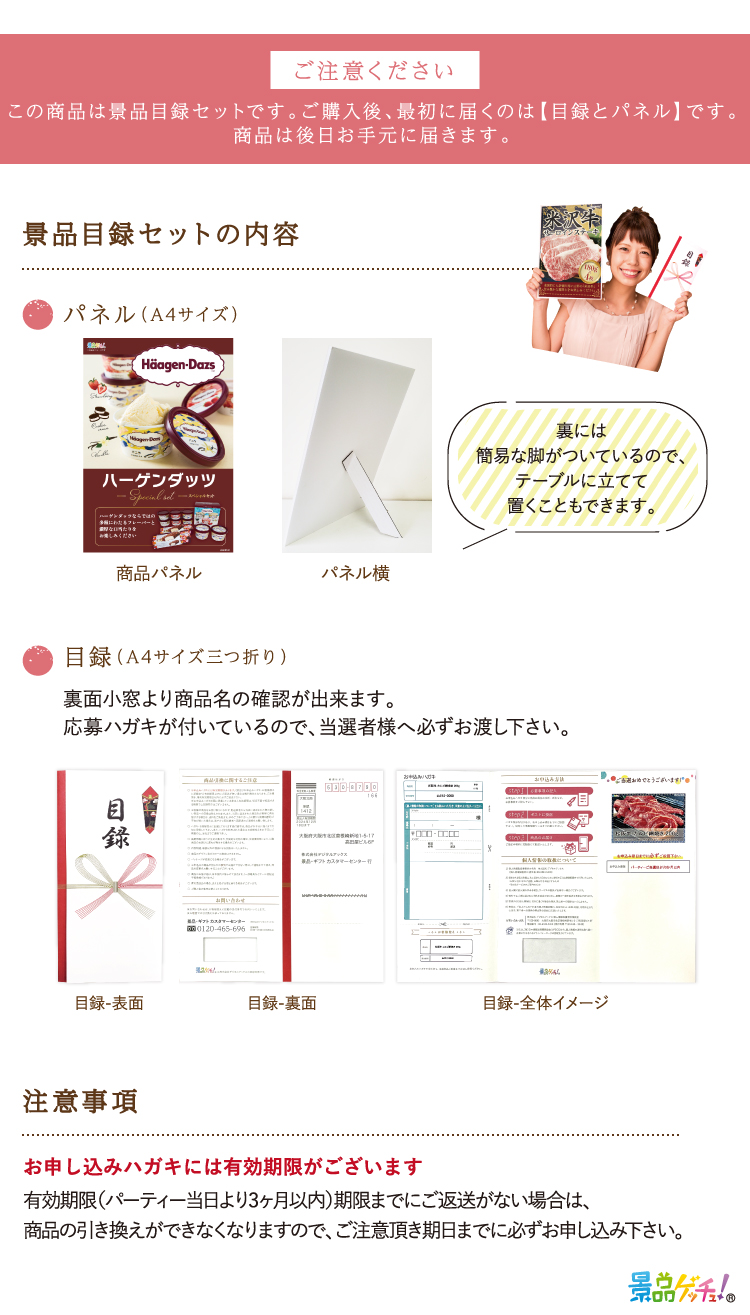 □ハーゲンダッツ スペシャルセレクトBOX □ 景品 セット 目録