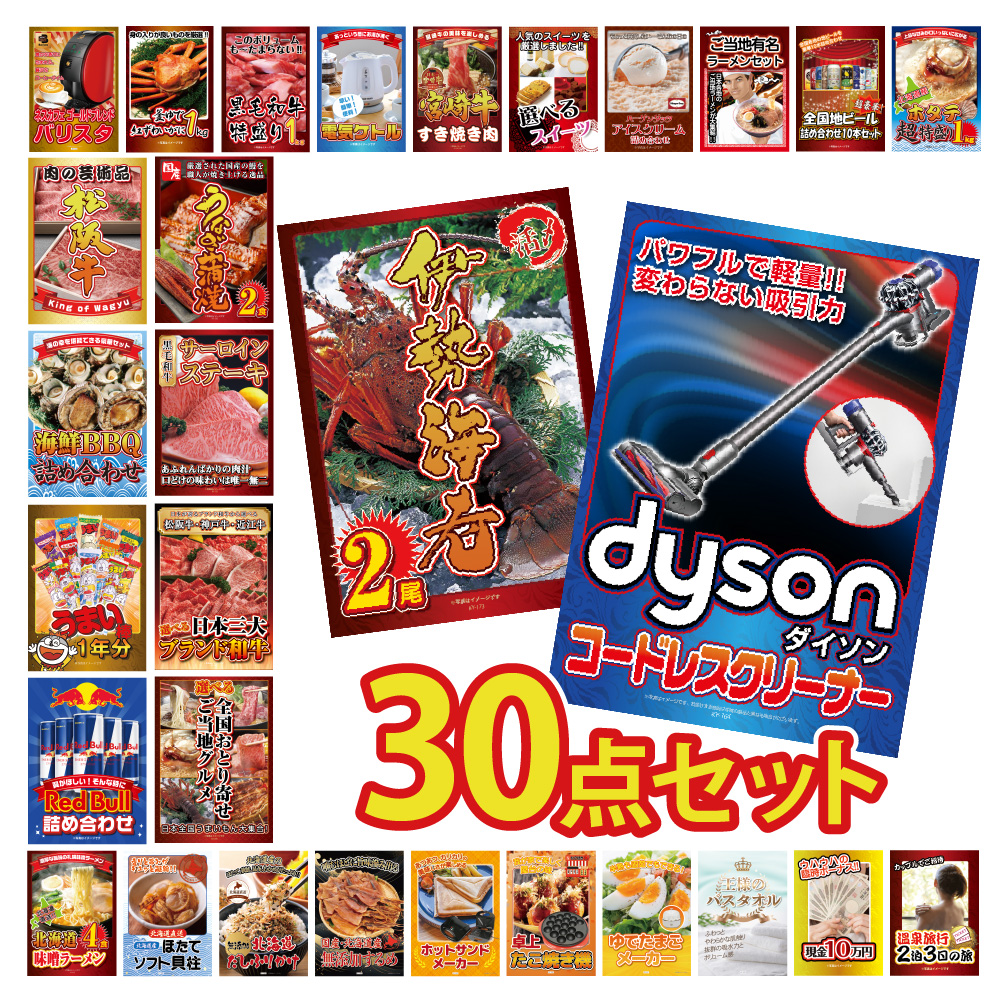  Ͽ å ѥͥդ  30   ݽ Dyson ꡼ʡ   µ   ޤ  뺧 󼡲