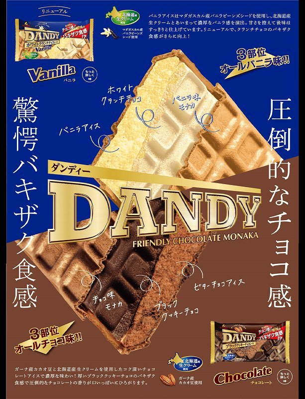 学校給食食材問屋 ダンディーチョコレート バニラ アイス セット 各3個