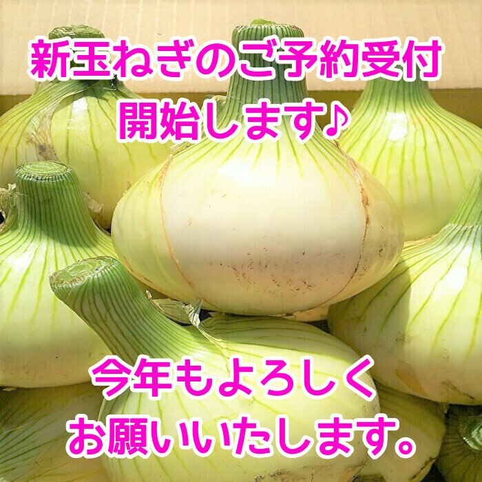 淡路島新玉ねぎ 10kg（早生・七宝） けいのしま農園 : けいのしま
