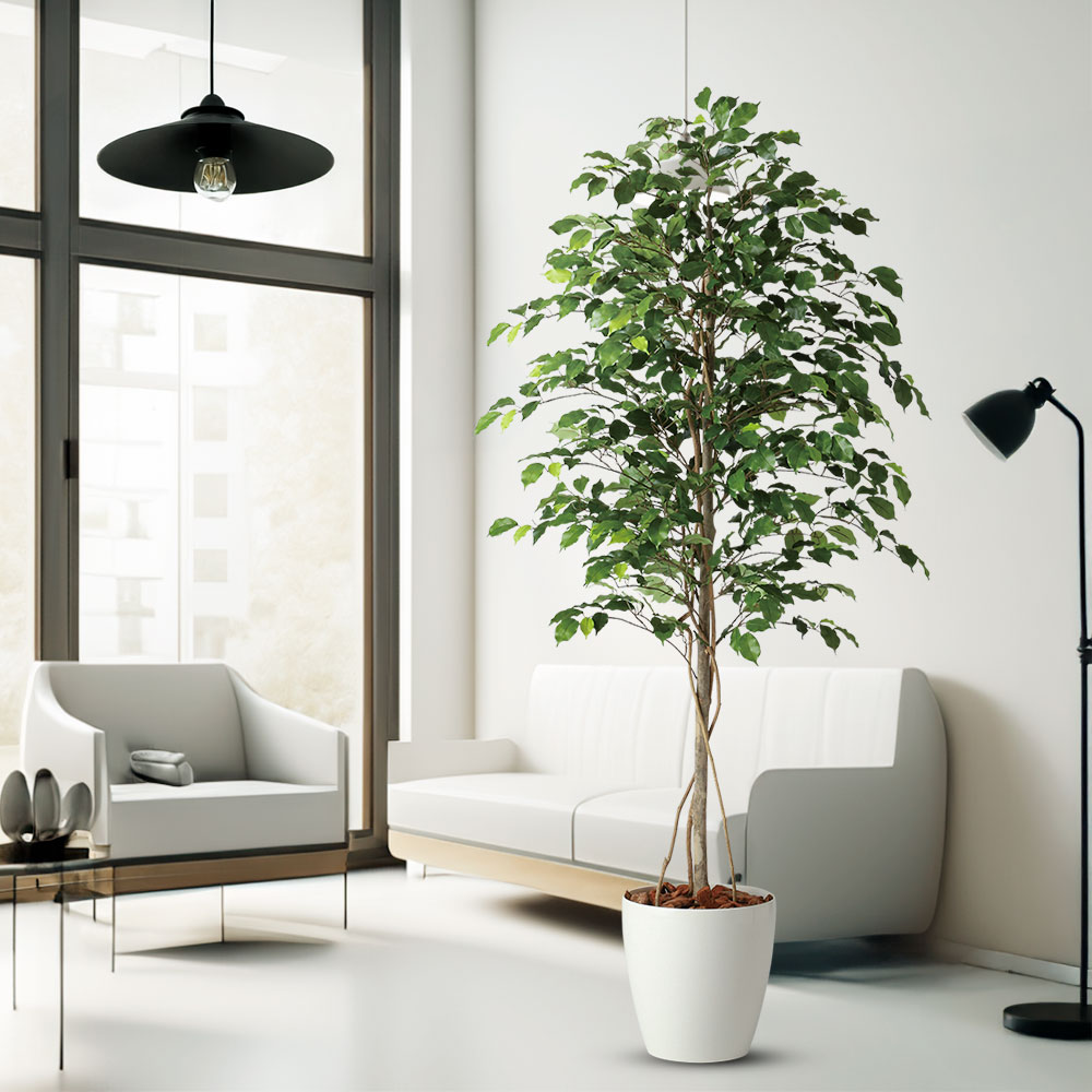 90392tk-az1.jpg