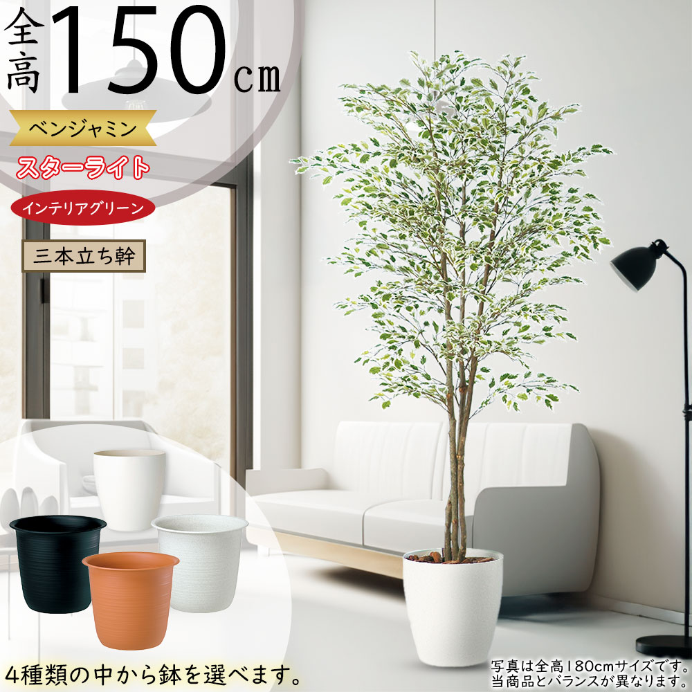 光触媒　人工観葉植物　フェイクグリーン　ベンジャミナスターライトコアッド 光触媒 人工観葉植物 フェイクグリーン ベンジャミナスターライトコ