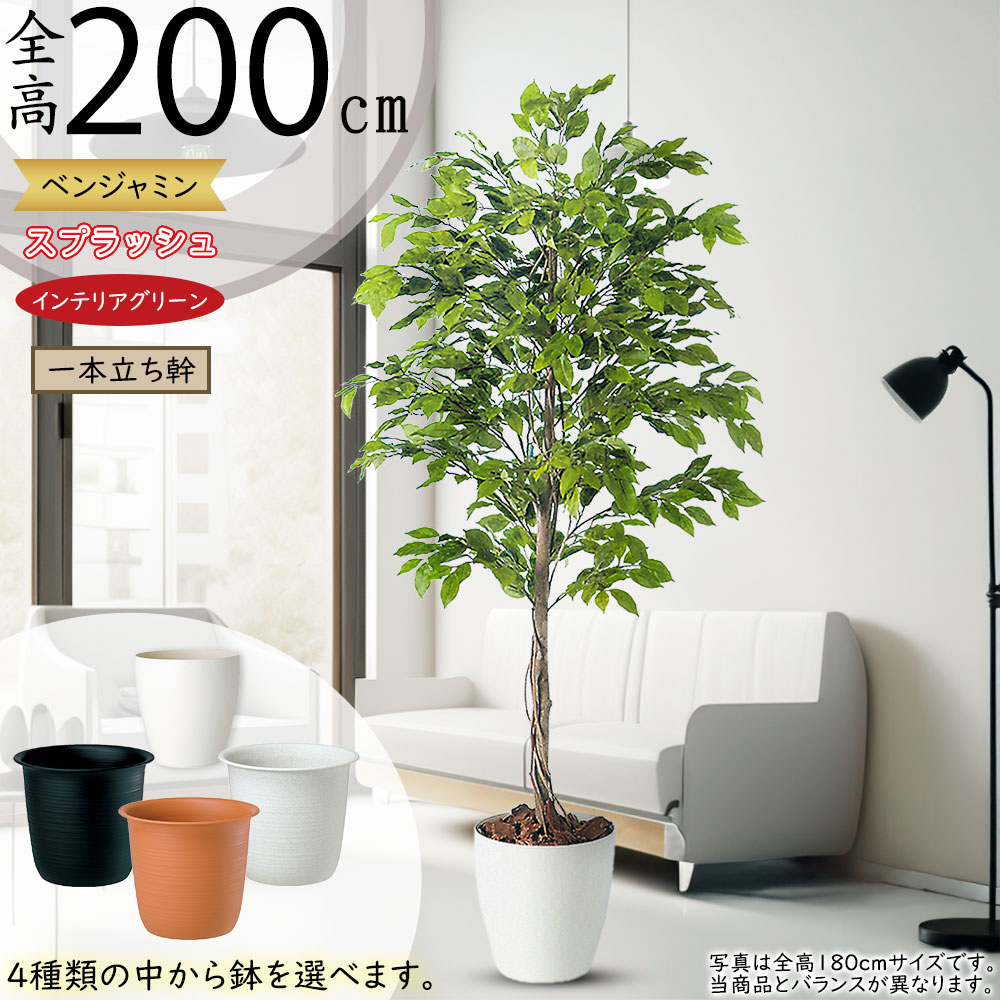 ベンジャミン 大型 人気 おしゃれ フェイクグリーン 特大 観葉植物