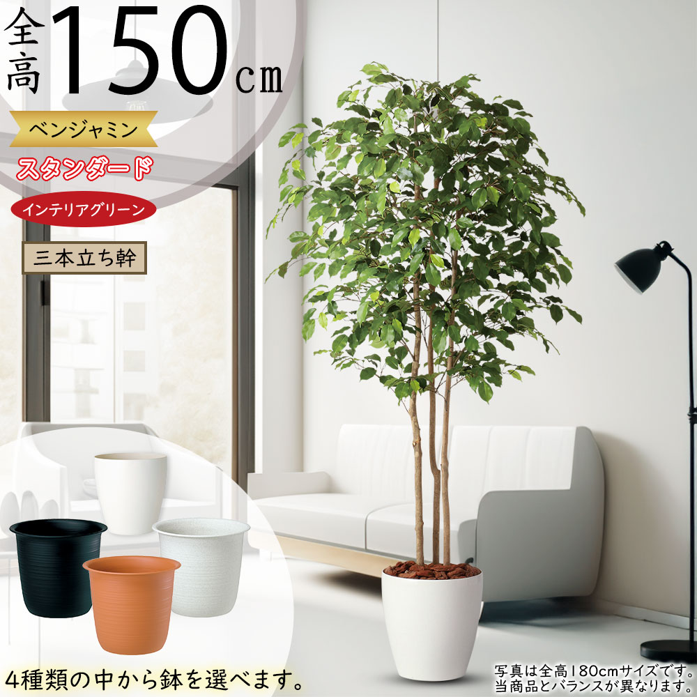 【超美品】ベンジャミン 造花 ツリー 90458tk-z1new.jpg