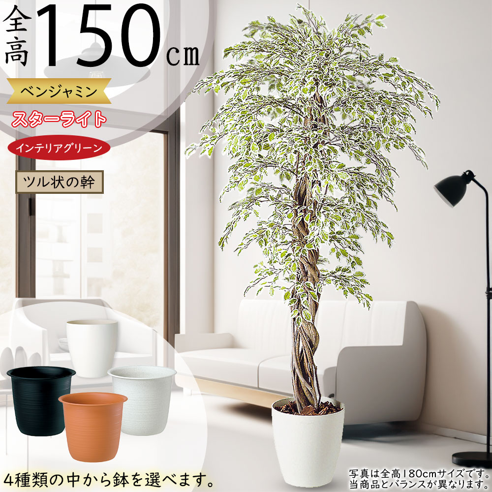 ベンジャミン おしゃれ 人気 フェイクグリーン 観葉植物 ベンジャミン おしゃれ 人気 フェイクグリーン 観葉植物