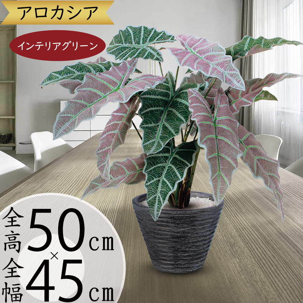 アローカシア（人工観葉植物）