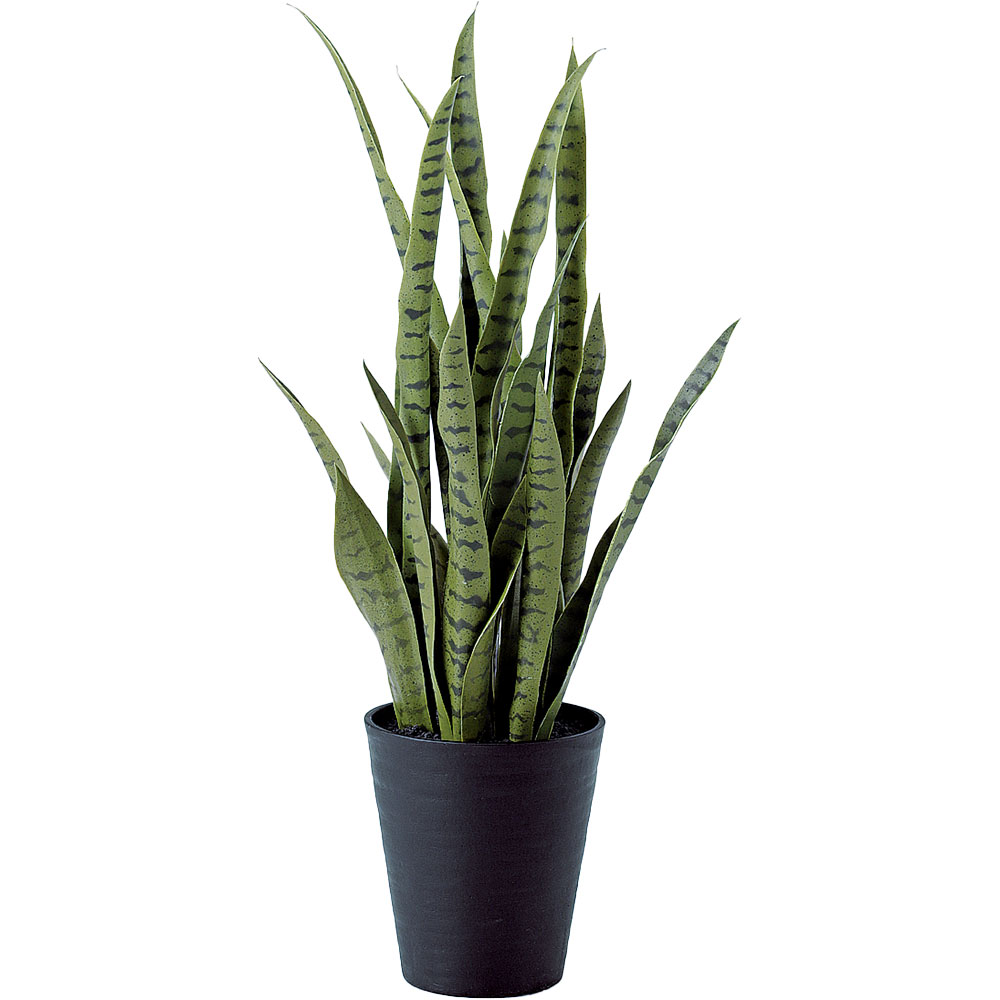 光触媒　人工観葉植物　フェイクグリーン　サンスベリアスタンドセット 91621tk-bk.jpg
