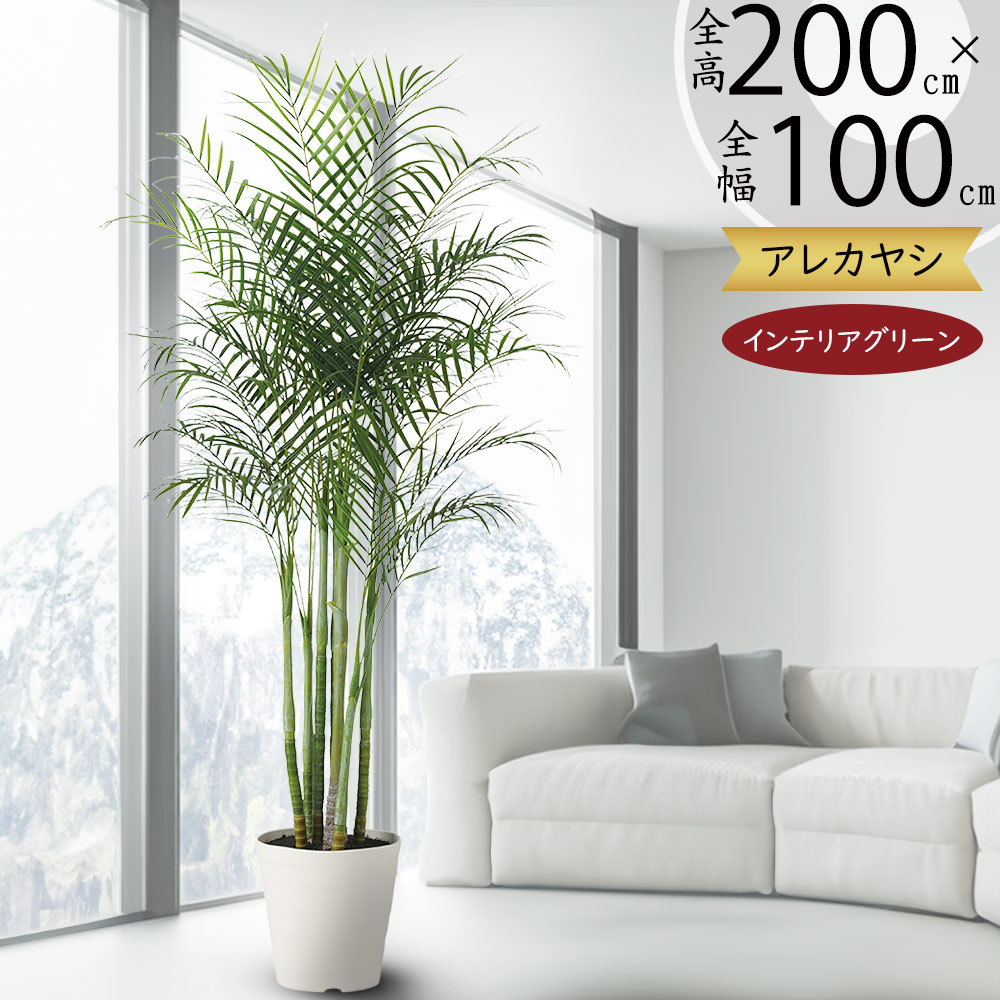 アレカヤシ 観葉植物 大型 人気 おしゃれ インテリアグリーン フェイク